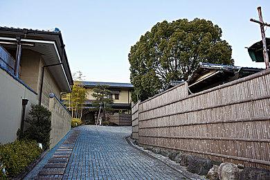 末世回合制《碎片朋克：鼠疫末世》4月14日发售